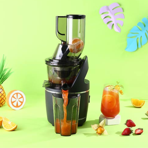 Wonderchef Regalia Full Fruit Cold Press Slow Juicer